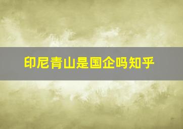 印尼青山是国企吗知乎