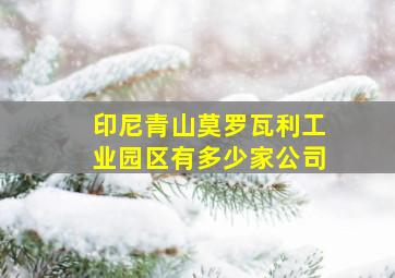 印尼青山莫罗瓦利工业园区有多少家公司