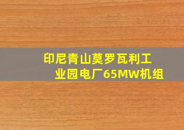 印尼青山莫罗瓦利工业园电厂65MW机组