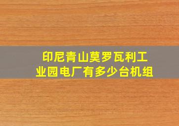 印尼青山莫罗瓦利工业园电厂有多少台机组