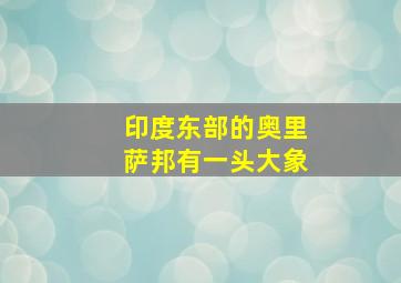 印度东部的奥里萨邦有一头大象