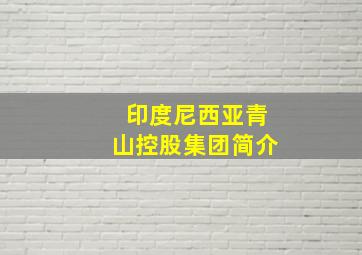 印度尼西亚青山控股集团简介