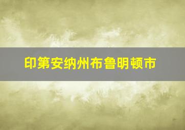 印第安纳州布鲁明顿市