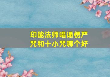 印能法师唱诵楞严咒和十小咒哪个好