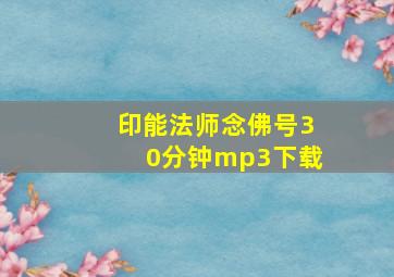 印能法师念佛号30分钟mp3下载