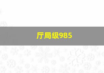 厅局级985