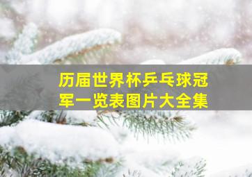 历届世界杯乒乓球冠军一览表图片大全集