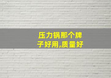 压力锅那个牌子好用,质量好