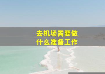 去机场需要做什么准备工作