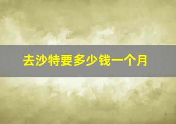 去沙特要多少钱一个月