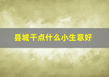 县城干点什么小生意好