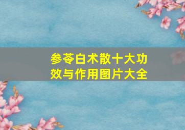 参苓白术散十大功效与作用图片大全