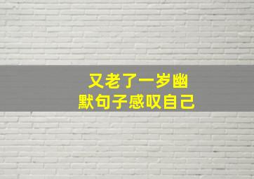 又老了一岁幽默句子感叹自己