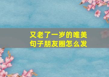 又老了一岁的唯美句子朋友圈怎么发