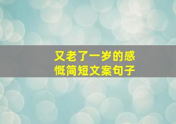 又老了一岁的感慨简短文案句子