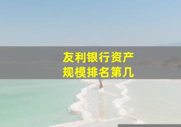 友利银行资产规模排名第几