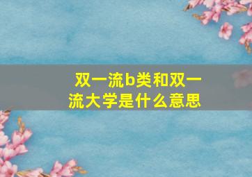 双一流b类和双一流大学是什么意思