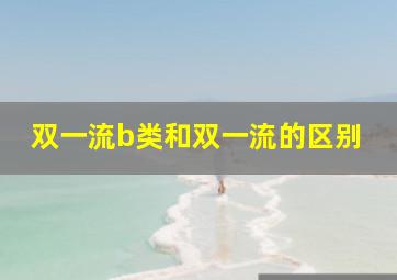 双一流b类和双一流的区别