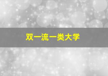 双一流一类大学