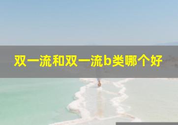 双一流和双一流b类哪个好