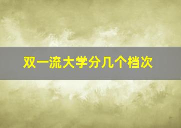 双一流大学分几个档次