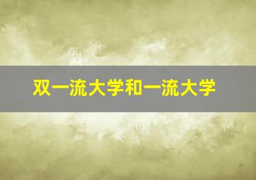 双一流大学和一流大学