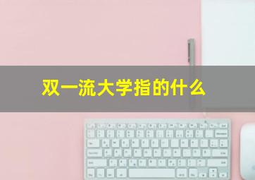 双一流大学指的什么