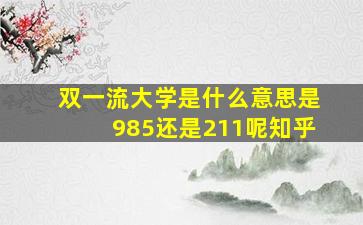 双一流大学是什么意思是985还是211呢知乎