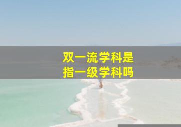 双一流学科是指一级学科吗