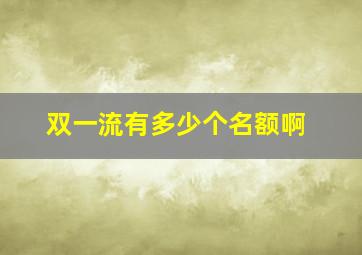 双一流有多少个名额啊