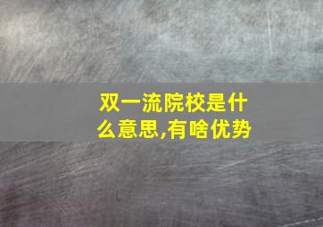 双一流院校是什么意思,有啥优势