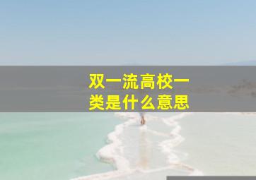 双一流高校一类是什么意思