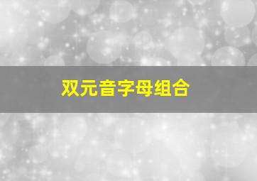 双元音字母组合