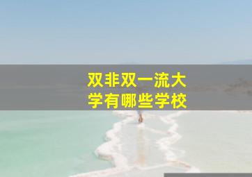 双非双一流大学有哪些学校