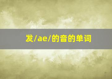 发/ae/的音的单词