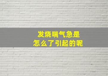 发烧喘气急是怎么了引起的呢