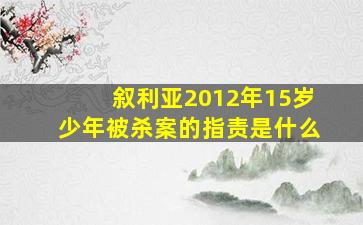 叙利亚2012年15岁少年被杀案的指责是什么