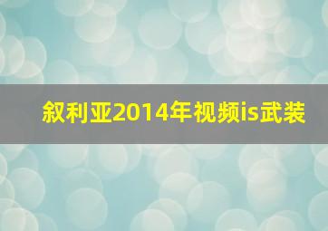 叙利亚2014年视频is武装