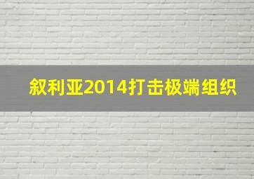 叙利亚2014打击极端组织