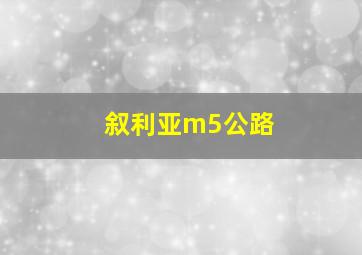 叙利亚m5公路