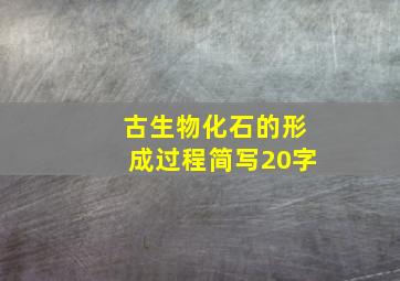 古生物化石的形成过程简写20字