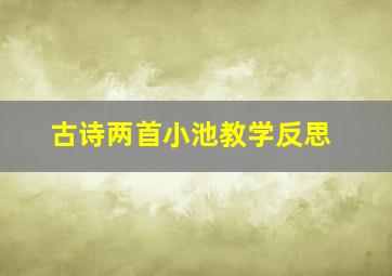 古诗两首小池教学反思