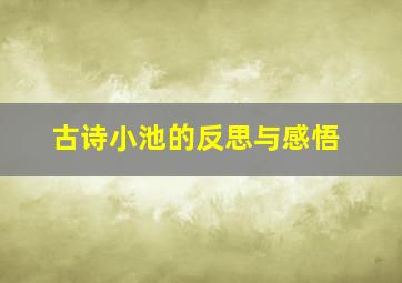 古诗小池的反思与感悟