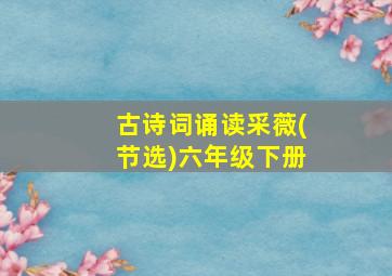 古诗词诵读采薇(节选)六年级下册