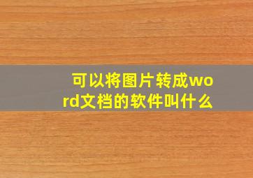 可以将图片转成word文档的软件叫什么