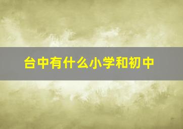 台中有什么小学和初中