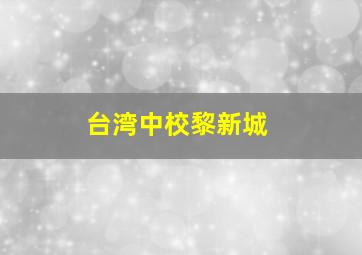 台湾中校黎新城