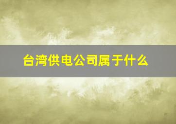 台湾供电公司属于什么