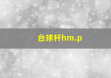 台球杆hm.p