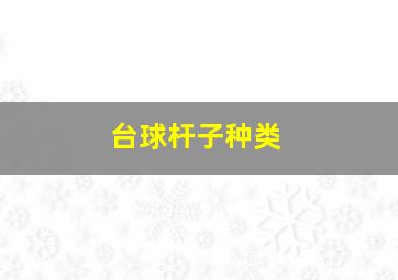 台球杆子种类